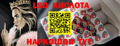 spice Заводоуковск